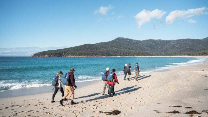Freycinet: 5.5-Hr Small Group Guided Walk + Boat Experience - Scenic Return by Boat