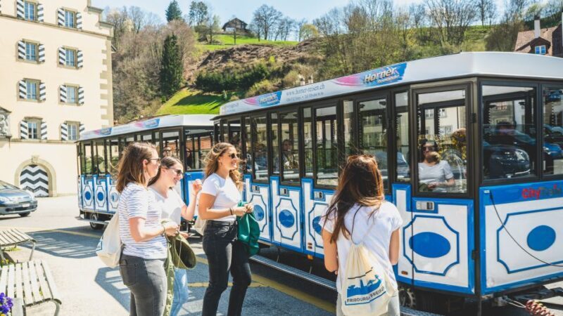 Fribourg City Card with Free Public Transport - Practical Details & Tips