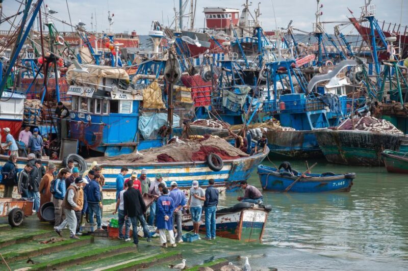 Friend-Guide Essaouira city tour - Key Points