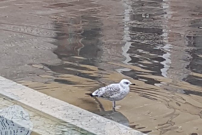 friendinvenice-how-to-experience-the-true-venice-private-tour