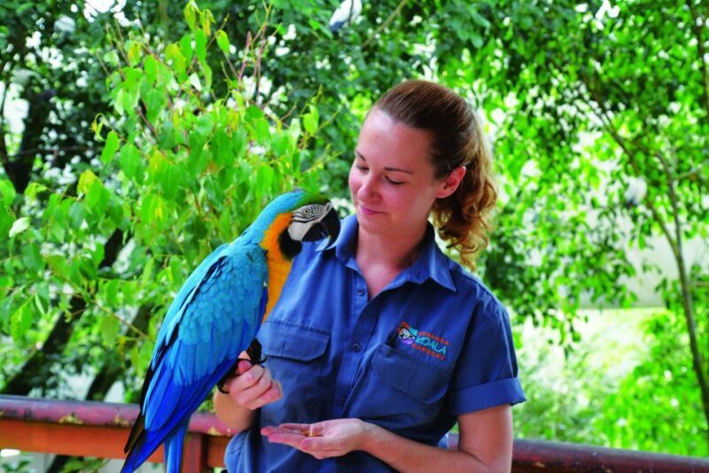 Friends in the Rainforest Package: Koala Gardens & Birdworld - What to Expect From the Experience  