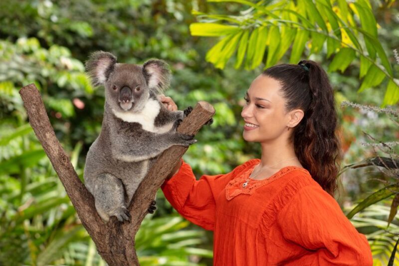 Friends in the Rainforest Package: Koala Gardens & Birdworld - Who Is This Tour Best Suited For?  
