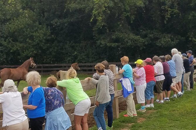 friesian-herd-tours-workshops-classes-and-retreats-in-the-kettle-moraine-area