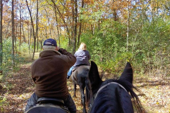 friesian-herd-tours-workshops-classes-and-retreats-in-the-kettle-moraine-area