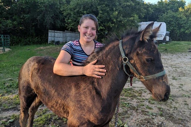 friesian-herd-tours-workshops-classes-and-retreats-in-the-kettle-moraine-area