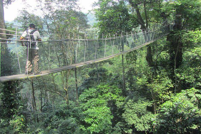 FRIM Nature Trekking Tour with Batu Caves, Batik & Pewter Factory - Key Points