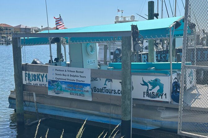 frisky-mermaid-dolphin-tour-secluded-beach-equip