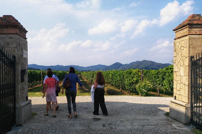 from-abano-montegrotto-wine-tour-in-the-euganean-hills