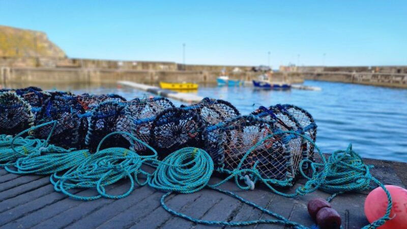 from-aberdeen-coastal-villages-of-aberdeenshire-tour