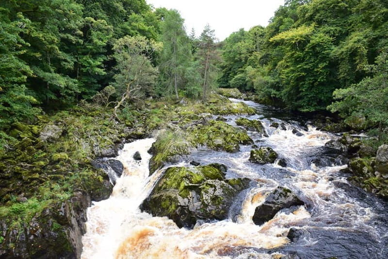 From Aberdeen: Guided Day Trip, Coast & Castle Visit - Who Will Love This Tour?