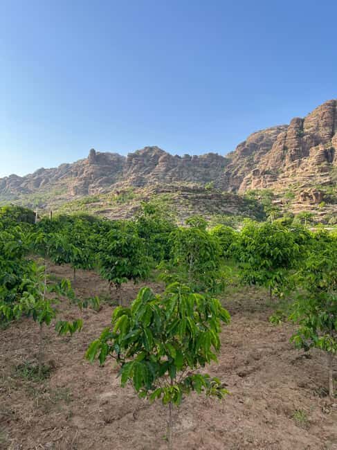 From Abha or Jazan: 3-Day AlReeth Adventure with Camping - Day 2: Wadi Lajab and Black Mountain Sunset