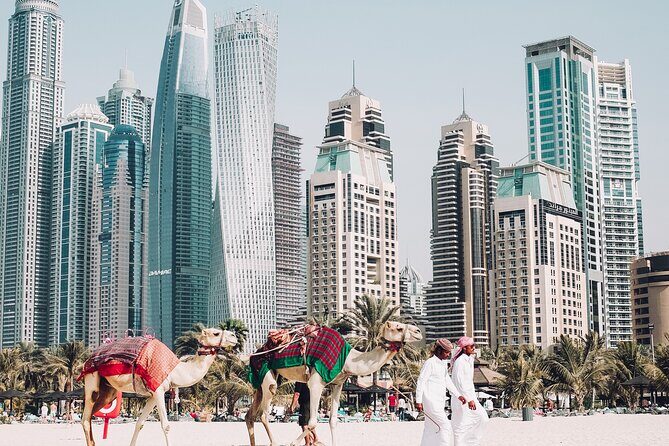From Abu Dhabi : Dubai Private City Tour - Who is This Tour Best For?