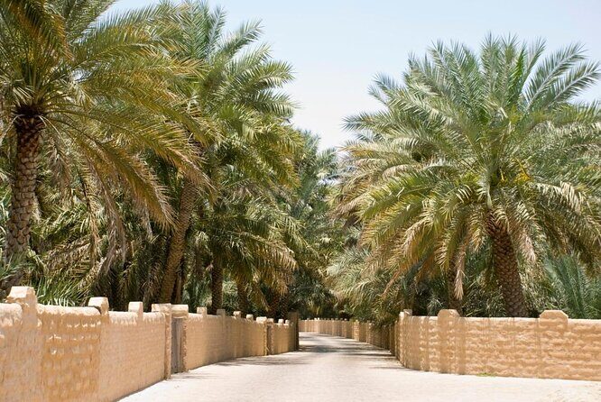 From Abu Dhabi Hotels : Private Al Ain Full-Day with Car and Driver - Key Points