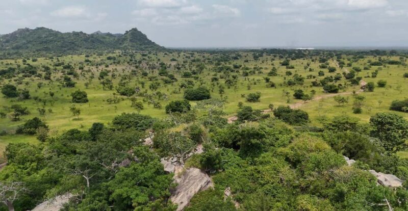 From Accra Shail hills and Lunch in the Boat Cruise Day Tour - Who Would Love This Experience?