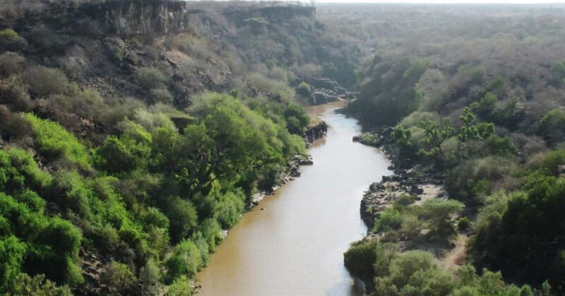 From Addis Ababa: 2-Day Awash National Park Tour with Dinner - Key Points