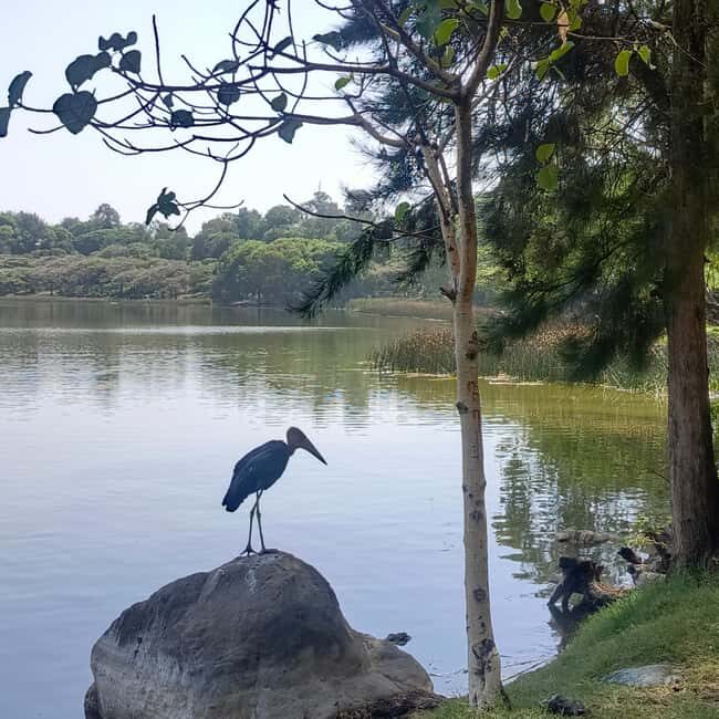 From Addis Ababa: Bisheftu Lake Side Tour - Local Culture and Additional Attractions