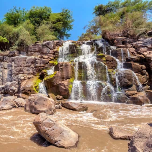 From Addis Ababa: Day Trip To Awash National Park - Key Points