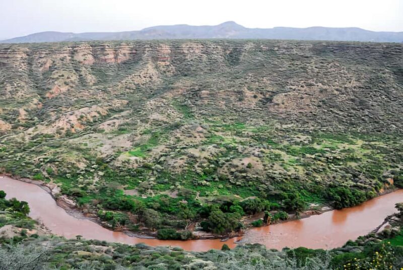 From Addis Ababa: Day Trip To Awash National Park - The Value and Practical Considerations