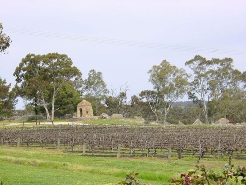 From Adelaide: Clare Valley Winery Tour - Exploring the Clare Valley: A Taste of South Australias Hidden Gem