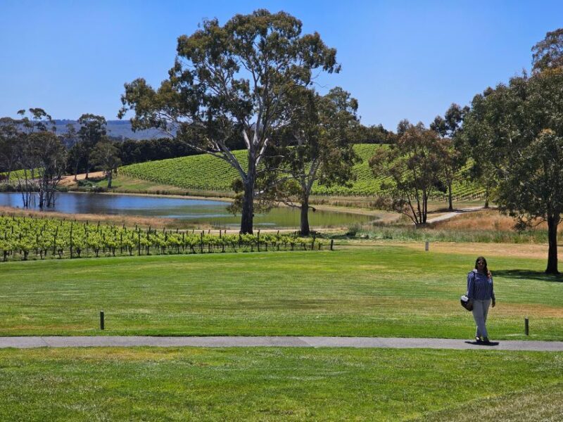 From Adelaide: Cuddle a Koala and Historic Hahndorf Tour - Key Points