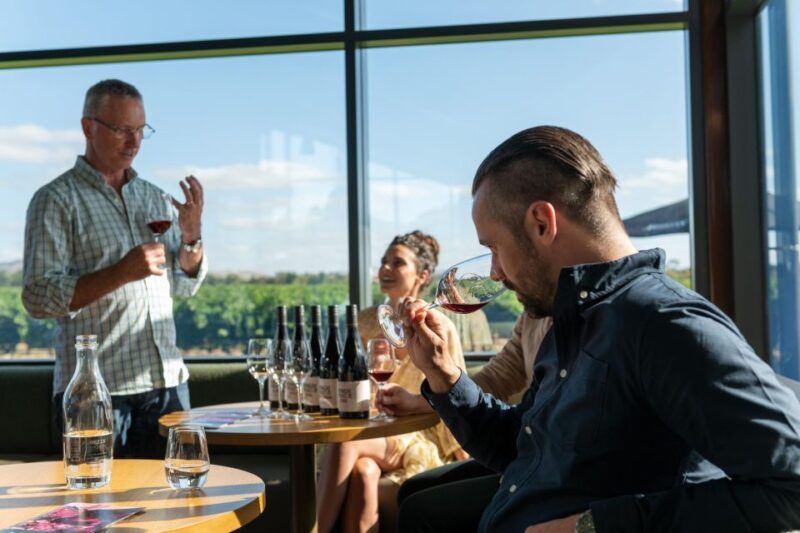 From Adelaide or Barossa: Boutique Barossa Valley Wine Tour - Who Should Consider This Tour?