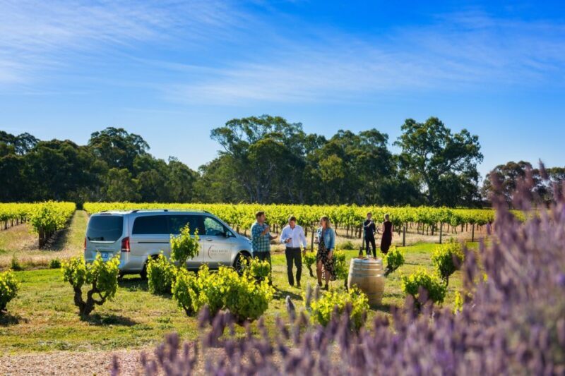 From Adelaide or Barossa: Boutique Barossa Valley Wine Tour - The Sum Up