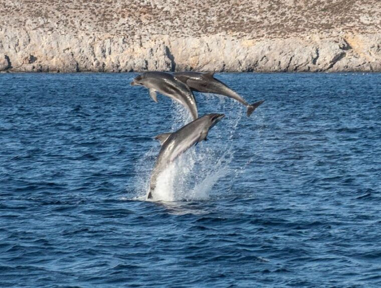 from-ag-anna-rinas-cave-and-ano-and-kato-koufonisi-cruise