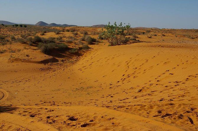 From Agadir 08 days round trip to southern Morocco. - FAQ