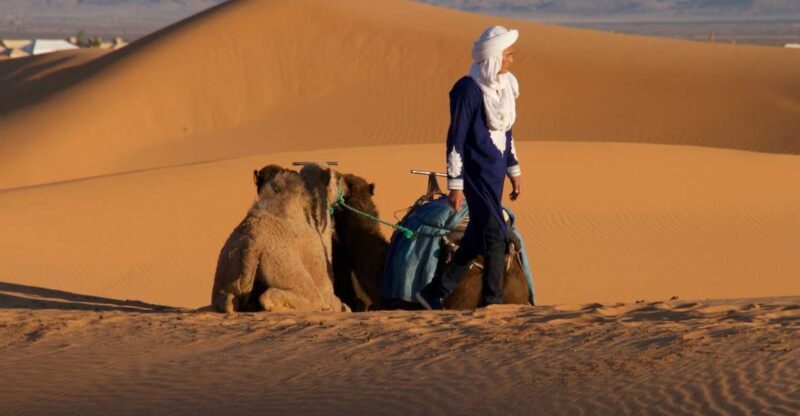 From Agadir: 2-Day El Borj Desert Tour with Transfer & Meals - An In-Depth Look at the 2-Day El Borj Desert Tour