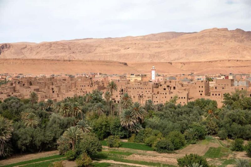 From Agadir: 3-Day Desert Tour to Fes - The Practical Side: What’s Included & What to Expect