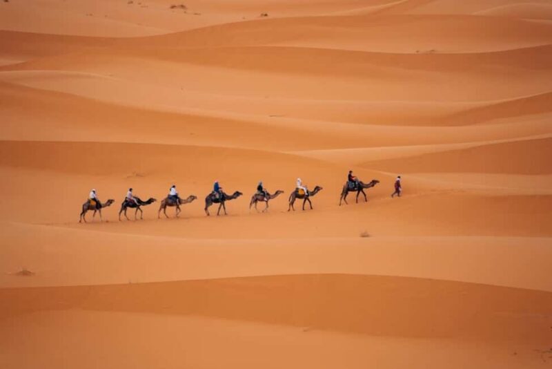 From Agadir: 3-Day Desert Tour to Marrakech - Who Would Love This Tour?