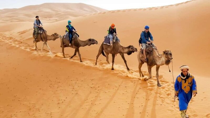 From Agadir : 4-Day Private Desert Trip to Zagora & Merzouga - Key Points