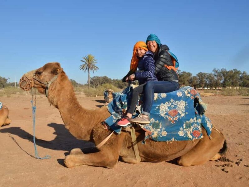 From Agadir: Camel Ride and Flamingo Trek - Key Points