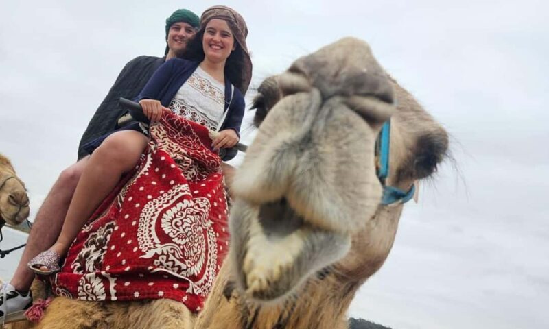 From Agadir: Camel Ride and Flamingo Trek - An In-Depth Look at the Experience