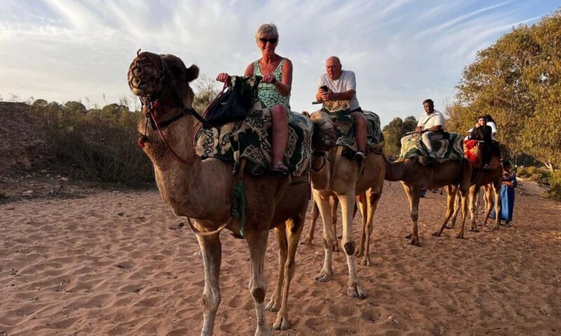 From Agadir: Camel Ride and Flamingo Trek - Authenticity and Value