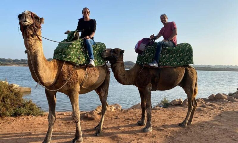From Agadir: Camel Ride and Flamingo Trek - FAQs