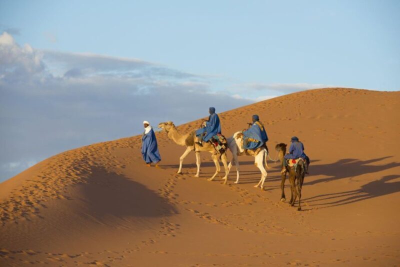 From Agadir: Camel Ride and Flamingo Trek - Final Thoughts