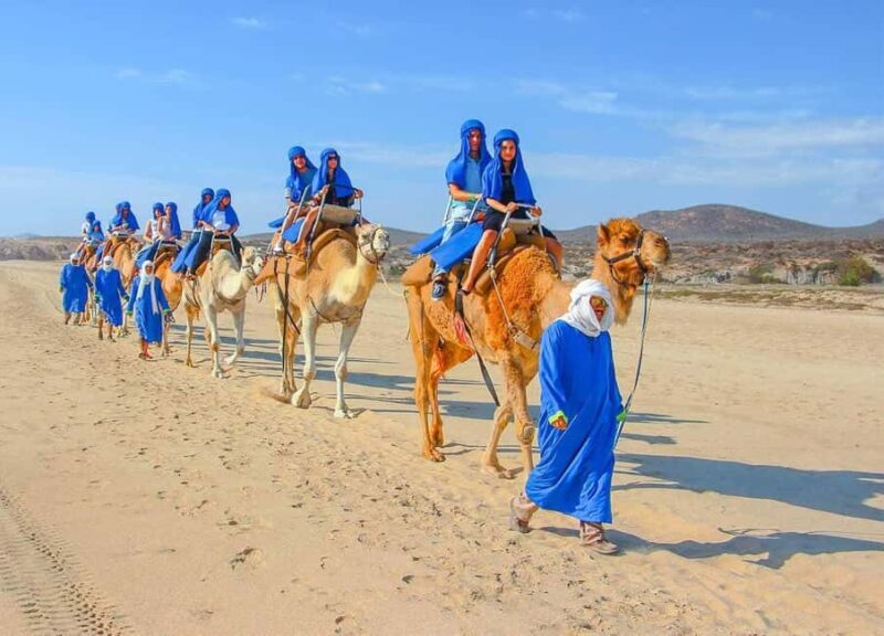 From Agadir: Camel Ride Tour with Hotel Pickup and Drop-Off - Key Points