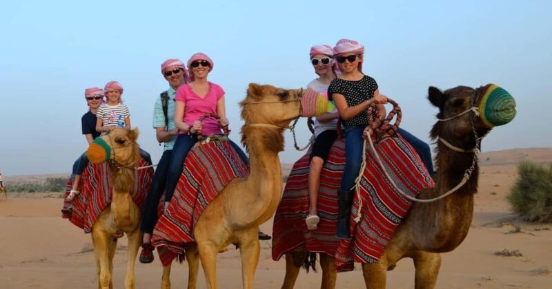 From Agadir: Camel Ride Tour with Hotel Pickup and Drop-Off - A Detailed Look at the Camel Ride Tour