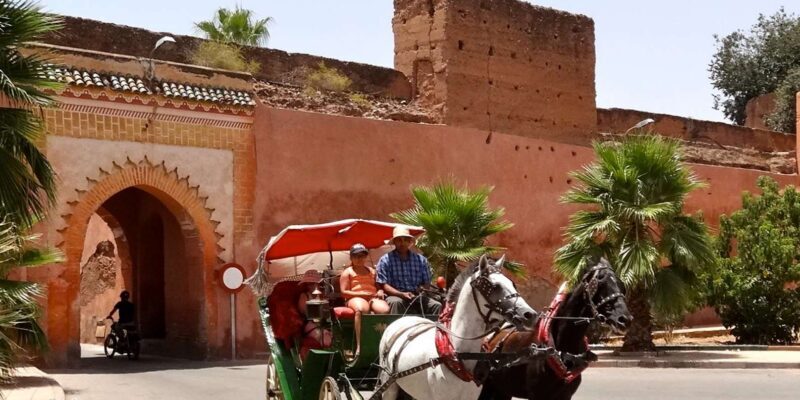 From Agadir: Guided Day Trip to Marrakech - The Itinerary Breakdown – What You Can Expect