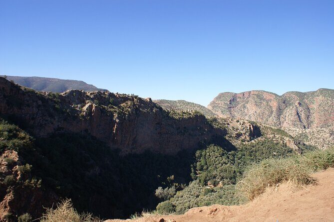 From Agadir Hotel or Port : Paradise Valley Trip - Who Is This Tour Best For?