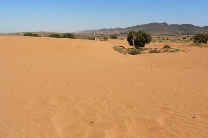 From Agadir or Port Trip to Small Sahara of Massa and Tiznit with Lunch - Final Thoughts
