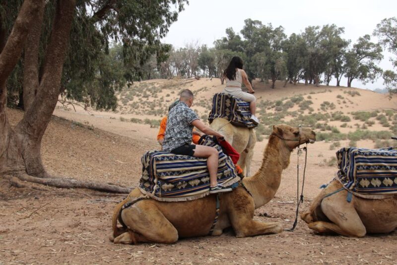 From Agadir or Taghazout: Camel Ride Tour & Flamingos Watch - The Overall Value: Is It Worth It?