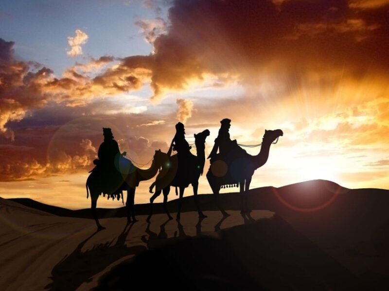 From Agadir or Taghazout: Camel Ride Tour & Flamingos Watch - Who Will This Tour Suit Best?
