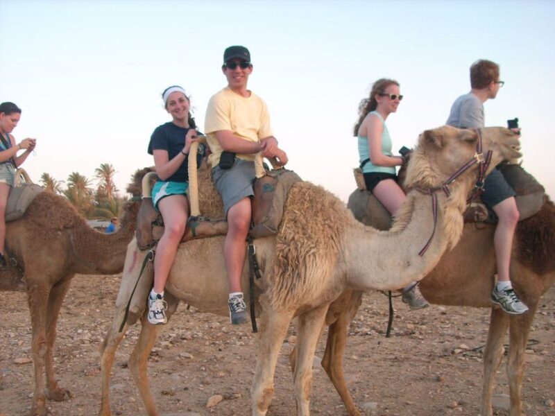 From Agadir or Taghazout: Camel Ride Tour & Flamingos Watch - FAQs