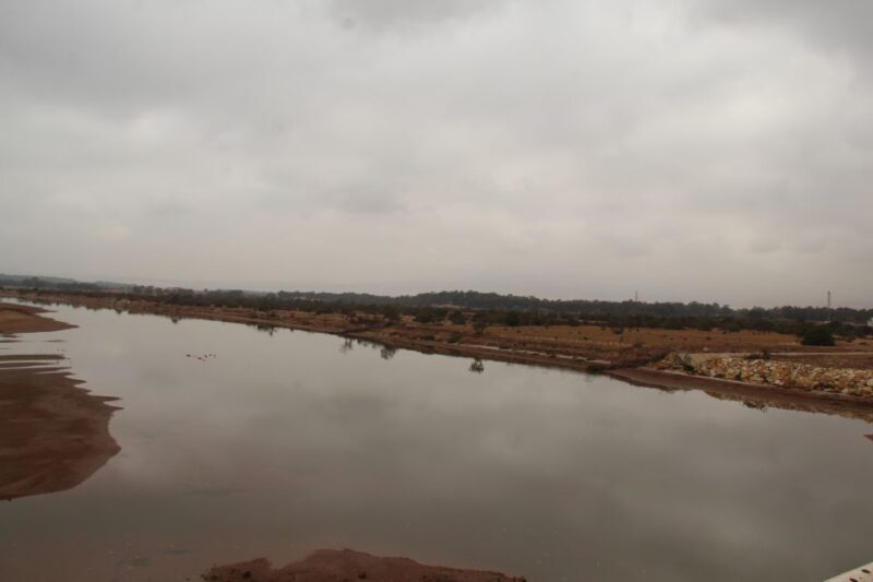 From Agadir or Taghazout: Camel Ride Tour & Flamingos Watch - Final Thoughts