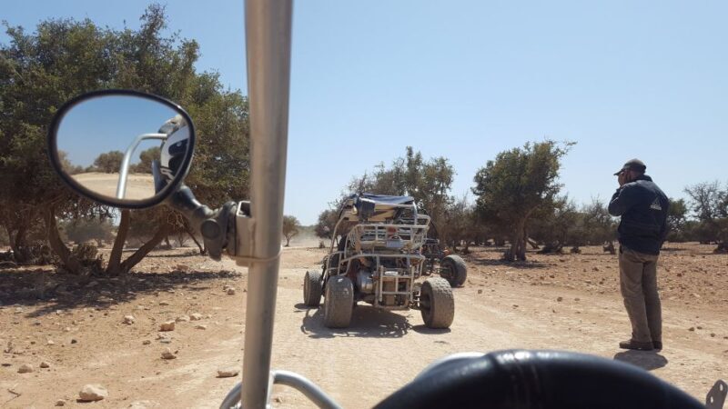 From Agadir or Taghazout: Desert Dunes Buggy Tour - Who Will Love This Tour?