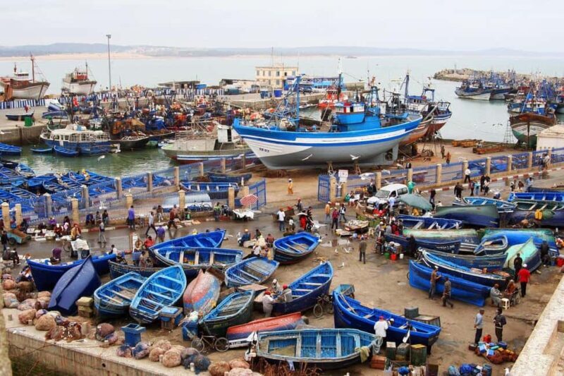 From Agadir or Taghazout : Essaouira Day Trip - Key Points