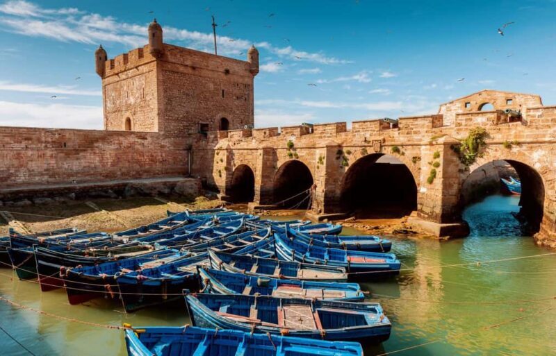From Agadir or Taghazout : Essaouira Day Trip - Authentic Insights from Travelers