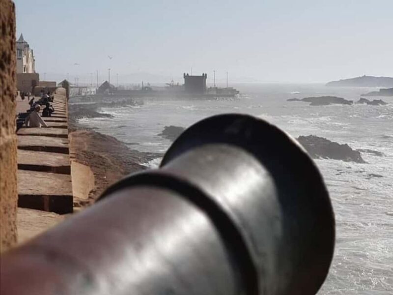 From Agadir or Taghazout : Essaouira Day Trip - Final Thoughts: Who Is This Tour Best For?